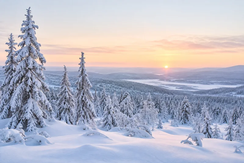 Lumipeitteinen talvimaisema
